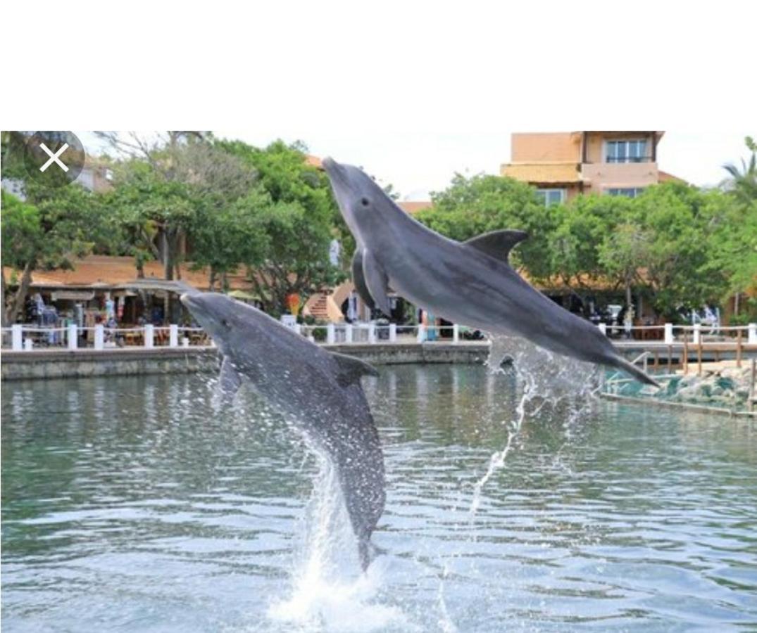 Casa Delfin Apartment Puerto Aventuras Exterior photo